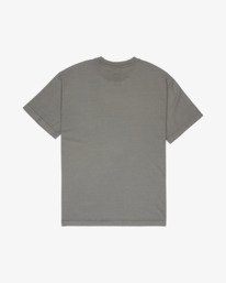0 Ptc 2 Pigment Gray EVYZT00370 RVCA