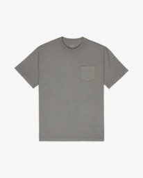 1 Ptc 2 Pigment Gray EVYZT00370 RVCA