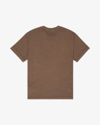 0 Ptc 2 Pigment Brown EVYZT00370 RVCA