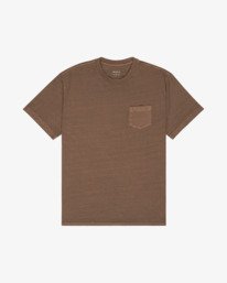 1 Ptc 2 Pigment Brown EVYZT00370 RVCA