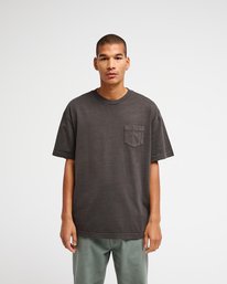 2 Ptc 2 Pigment Brown EVYZT00370 RVCA