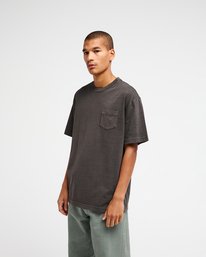 5 Ptc 2 Pigment Brown EVYZT00370 RVCA