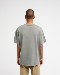 4 Ptc 2 Pigment Gray EVYZT00370 RVCA