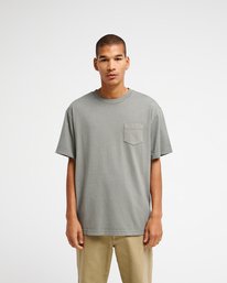 2 Ptc 2 Pigment Gray EVYZT00370 RVCA