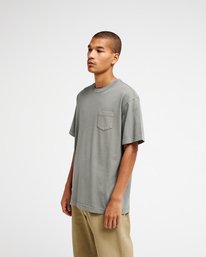 5 Ptc 2 Pigment Gray EVYZT00370 RVCA