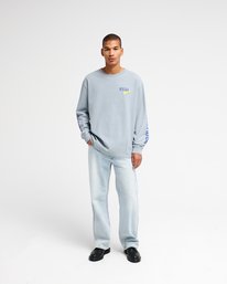 4 Dalas Tiger Palm Bleu EVYZT00371 RVCA