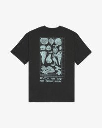 0 Crustaceous Braun EVYZT00384 RVCA