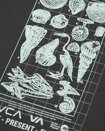 3 Crustaceous Braun EVYZT00384 RVCA