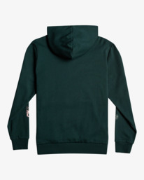 1 Petroglyph - Sudadera con Capucha para Hombre Verde F1HORFRVF2 RVCA