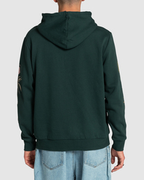 3 Petroglyph - Sudadera con Capucha para Hombre Verde F1HORFRVF2 RVCA