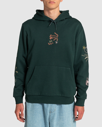 2 Petroglyph - Sudadera con Capucha para Hombre Verde F1HORFRVF2 RVCA