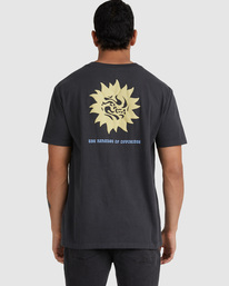 1 Breeze - Maglietta da Uomo  F1SSRWRVF2 RVCA