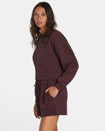 4 Sundays Test Drive - Sweatshirt for Women Brown F3CRRARVF2 RVCA
