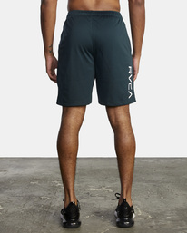 1 VA Mesh 19" - Elasticated Walkshorts for Men Green F4WKMDRVF2 RVCA