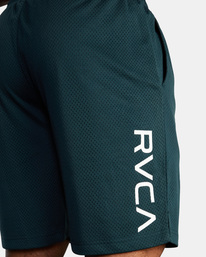 5 VA Mesh 19" - Elasticated Walkshorts for Men Green F4WKMDRVF2 RVCA