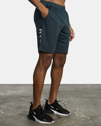 4 VA Mesh 19" - Elasticated Walkshorts for Men Green F4WKMDRVF2 RVCA