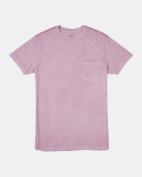 0 PTC 2 Pigment - T-Shirt for Men  M437VRPT RVCA