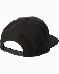 0 Diagram - Snapback Cap for Men  N5CPRARVP9 RVCA
