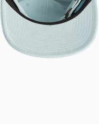 1 Tonally - Cap for Men  N5CPRDRVP9 RVCA