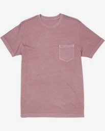 0 Ptc 2 Pigment - T-Shirt mit Tasche für Herren Grau Q1KTRORVF9 RVCA