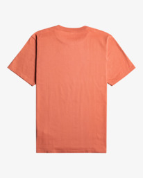 1 Big RVCA - T-Shirt für Männer Braun S1SSRPRVP0 RVCA