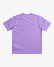 1 Big RVCA - T-Shirt for Men Purple S1SSRPRVP0 RVCA