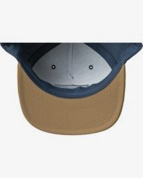2 Commonwealth - Gorra con ajuste posterior para Hombre Gris U5CPRJRVF0 RVCA