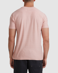 9 Texture Stripe - T-Shirt for Men Gray W1KTRDRVP1 RVCA
