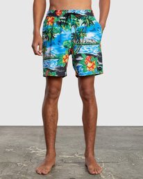 0 VA Elastic 17" - Swim Shorts for Men Grey W1VORDRVP1 RVCA