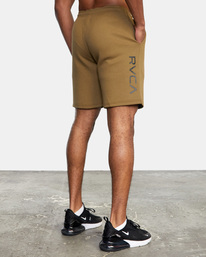 5 VA Sport IV 17" - Performance Shorts for Men Green W4WKMIRVP1 RVCA