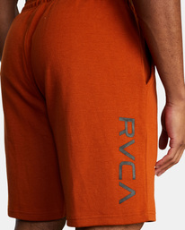 6 VA Sport IV 17" - Bermuda performance da Uomo Brown W4WKMIRVP1 RVCA