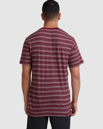 2 Toluca Micro Stripe - Camiseta para Hombre Violeta Z1KTRDRVF1 RVCA