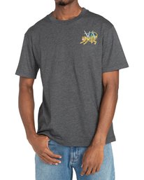 2 Matt Leines Ml Tiger - T-Shirt for Men Grey Z1SSRKRVF1 RVCA