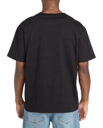 3 Palm Beach - T-Shirt for Men Black Z1SSRRRVF1 RVCA
