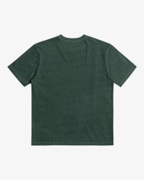 1 Pennant - T-Shirt for Men Green Z1SSRYRVF1 RVCA