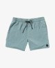 VA Pigment 16" - Board Shorts for Men  23A251502