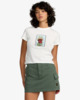 FIR GREEN (fir)
