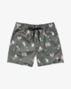 Barnes - Swim Shorts for Men  AVYBS00265