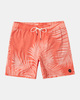 Barnes - Swim Shorts for Men  AVYBS00265