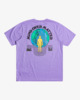 ASTER PURPLE (2092)