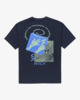 NAVY (nvy)