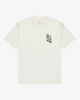SALT (wza0)