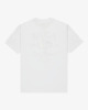 WHITE (wht)
