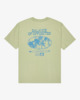 LIGHT OLIVE (lto)
