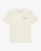 ANTIQUE WHITE (anw)