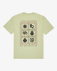 LIGHT OLIVE (lto)
