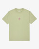 LIGHT OLIVE (lto)