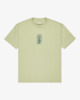 LIGHT OLIVE (lto)