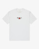 WHITE (wht)