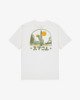 ANTIQUE WHITE (anw)